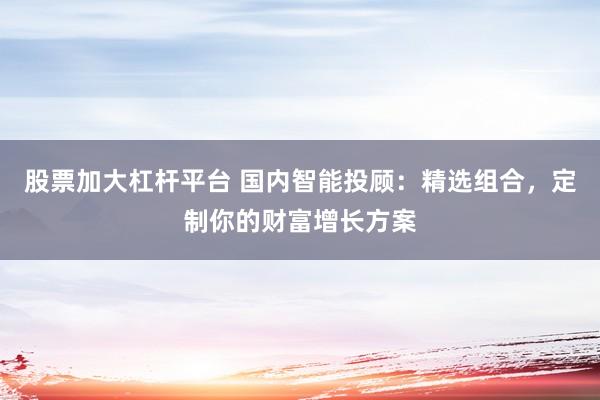 股票加大杠杆平台 国内智能投顾：精选组合，定制你的财富增长方案