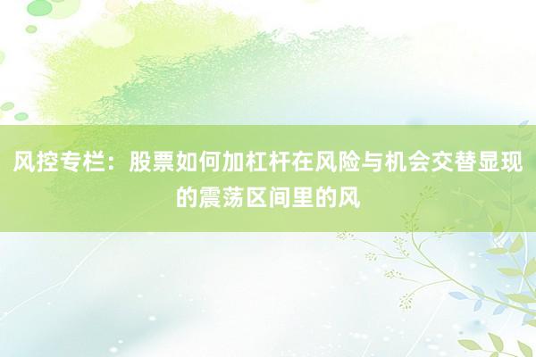 风控专栏：股票如何加杠杆在风险与机会交替显现的震荡区间里的风
