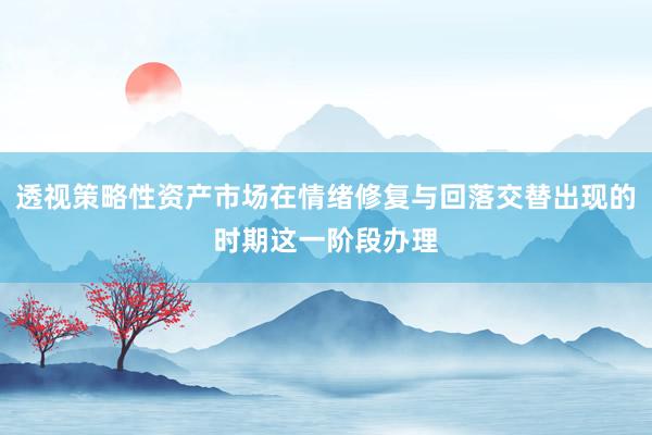 透视策略性资产市场在情绪修复与回落交替出现的时期这一阶段办理