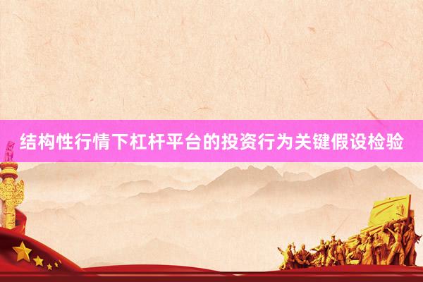 结构性行情下杠杆平台的投资行为关键假设检验