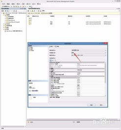 全新部署.net cms流程图